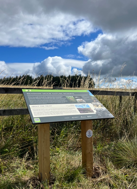case-study-redesdale-6