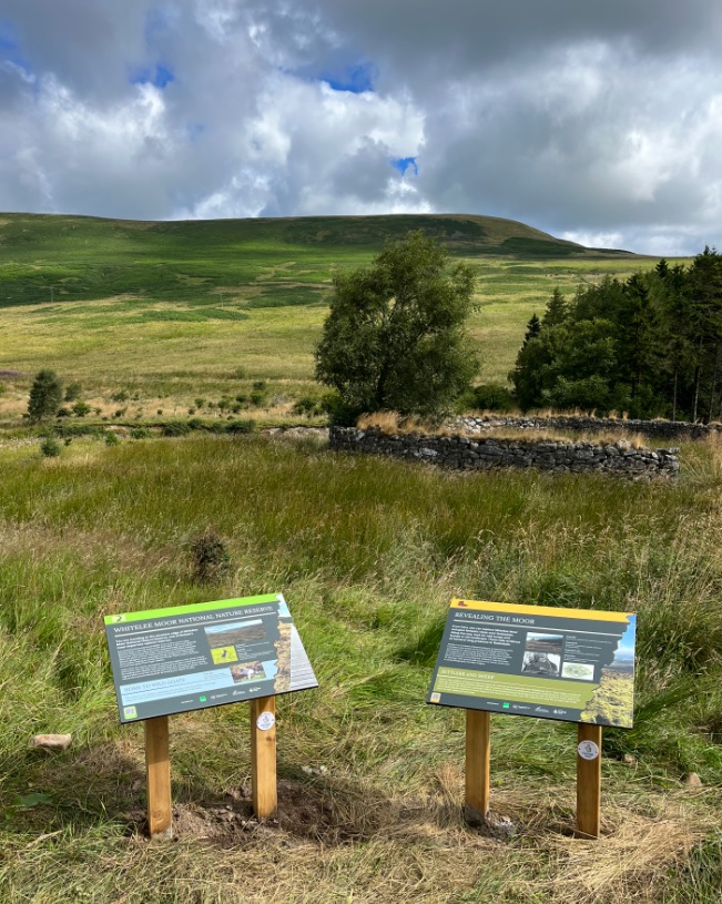case-study-redesdale-8